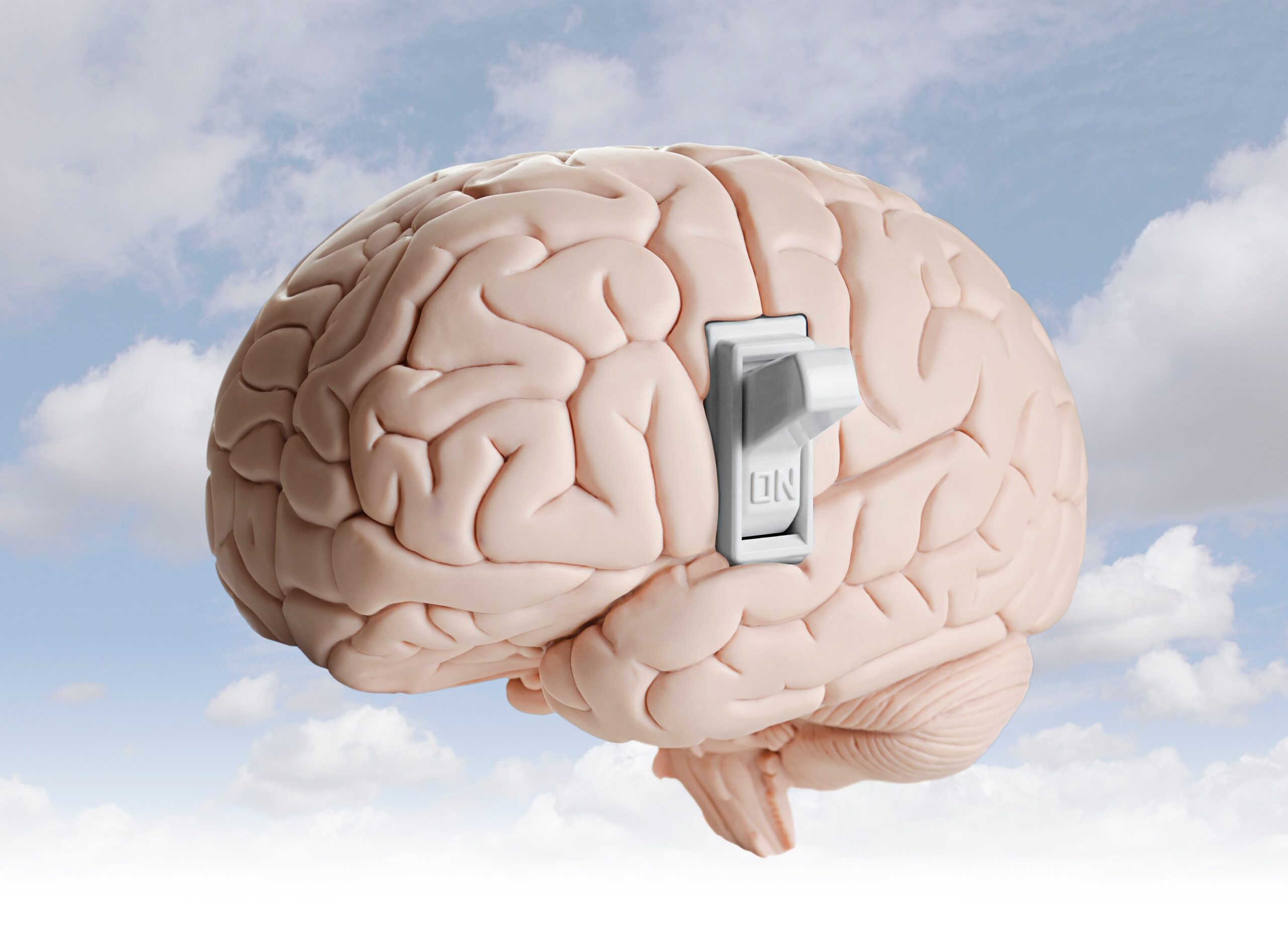 masters of the brain game